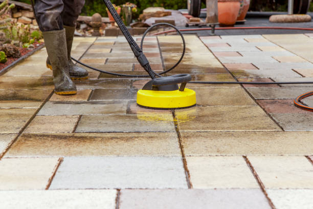 Best Warehouse Cleaning  in South Monroe, MI