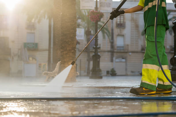Best Patio and Deck Pressure Washing  in South Monroe, MI